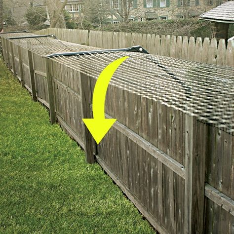 100' Kit for adapting Existing Fences Cat proof yard! No escaping pets! Short Fence, Cat Fence, Fence Toppers, Outdoor Cat Enclosure, Cat Proofing, Cat Run, Fencing Material, Types Of Cats, Cat Enclosure