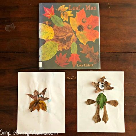 Leaf Theme Preschool, Leaf Lesson Plans, Theme Preschool Lesson Plans, Lesson Plans Kindergarten, Leaf Lessons, Theme For Preschool, Fall Classroom Activities, Fall Lesson Plans, Theme Preschool