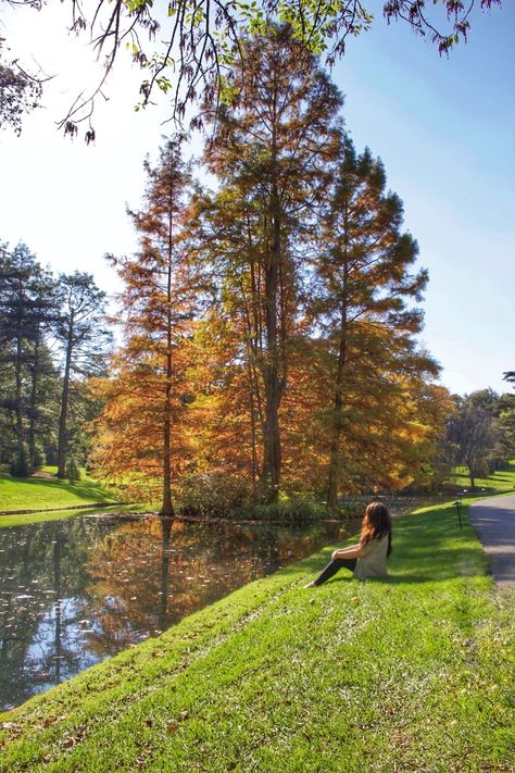 Longwood Gardens // Pennsylvania Versailles Garden, Longwood Gardens, Main Attraction, Garden Fountains, Scenic Views, Pennsylvania, Hotel Reviews, Amazing Destinations, Botanical Gardens