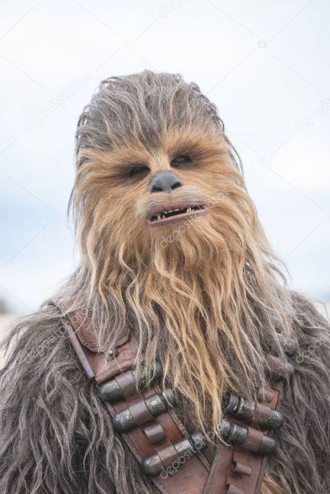 Chewbacca Drawing, Chewbacca Tattoo, Chewbacca Cookies, Chewbacca Art, Chewbacca Cake, Chewbacca Wallpaper, Chewbacca Dog, Chewbacca Costume, Han Solo And Chewbacca