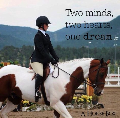 #horses #quotes Equestrian Captions Instagram, Showjumping Quotes, Equestrian Quotes Inspirational, Horses Quotes, Equine Quotes, Equestrian Clothes, Horse Quotes Funny, Inspirational Horse Quotes, Horse Riding Quotes