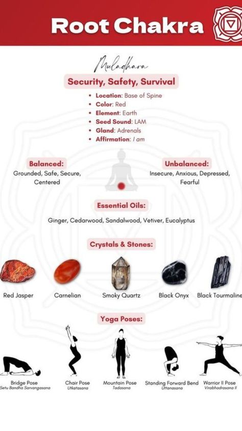 Embark on a journey of grounding and stability by connecting with your Root Chakra, represented by the vibrant red energy. Explore the essence of rooting down into your body and anchoring yourself in the present moment. 🌱 #RootChakra #RedChakra #Grounding #Stability #Mindfulness #BodyConnection #SpiritualJourney #ChakraAlignment #InnerStrength #SelfAwareness #GroundedLiving 🍃 Root Chakra Yoga, Chakra For Beginners, Red Chakra, Chakra Chart, The Root Chakra, Muladhara Chakra, Chakra Healing Meditation, Red Energy, Chakra Health