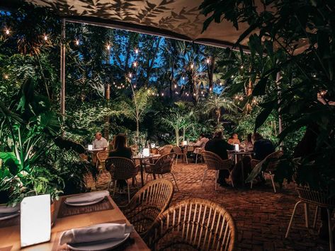 Coconut Grove Miami, Restaurants In Miami, Beneath The Stars, Bone In Ribeye, Romantic Restaurants, Miami Restaurants, Al Fresco Dinner, Romantic Restaurant, Coconut Grove