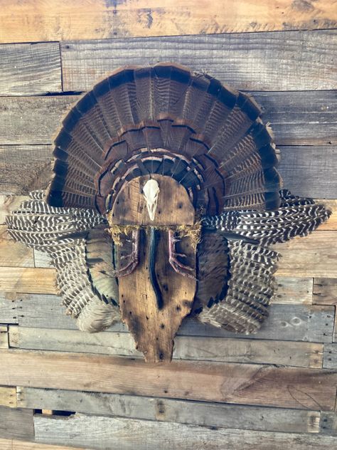 Turkey Taxidermy Ideas, Turkey Mounts Taxidermy, Turkey Mount Ideas, Turkey Taxidermy, Turkey Hunting Decor, Hunting Mounts, Pheasant Mounts, Deer Mount Decor, European Mounts