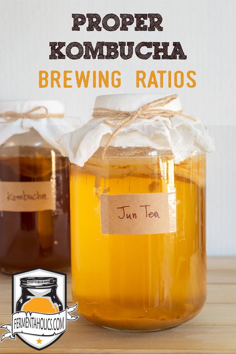 Jun Tea, Kombucha Flavors Recipes, Brewing Kombucha, Jun Kombucha, Kombucha Brewing, Kombucha Starter, Kombucha Flavors, Kombucha Scoby, How To Brew Kombucha