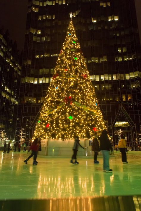 Christmas Engagement Photos, Seattle Travel, Christmas Engagement, Christmas On A Budget, Steel City, Pittsburgh Pennsylvania, The Embrace, Wonderful Time Of The Year, Winter Wonder