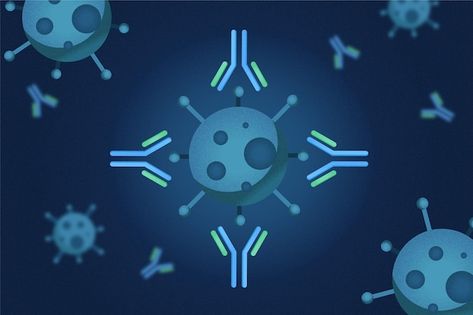 Antibody immunoglobulin molecule theme | Free Vector #Freepik #freevector #background #health #wallpaper #molecule What Is Cell, Abnormal Cells, B Cell, T Cell, Viral Infection, White Blood Cells, Themes Free, Immune Response, Blood Cells