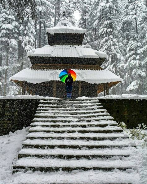 Hadimba temple , Manali. Hadimba Temple Manali, Bismillah Khan, Indian Temple Architecture, Travel Points, India Travel Guide, Hindu Temples, Amazing India, Leh Ladakh, Temple Architecture