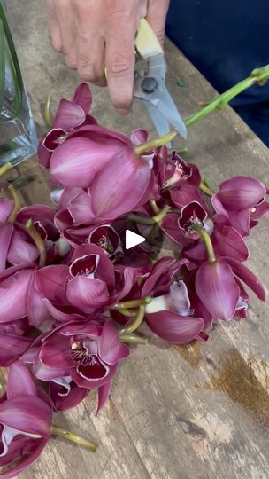 Orchids Arrangements Ideas, Cymbidium Orchids Arrangement, Nyc Flowers, Nyc Florist, Orchid Arrangements, Cymbidium Orchids, Floral Ideas, Event Flowers, 1k Views