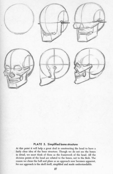 Drawing The Head And Hands - Andrew Loomis Andrew Loomis, Skull Reference, Skull Sketch, Human Anatomy Drawing, Skulls Drawing, Human Figure Drawing, Drawing Heads, Human Anatomy Art, Anatomy Sketches