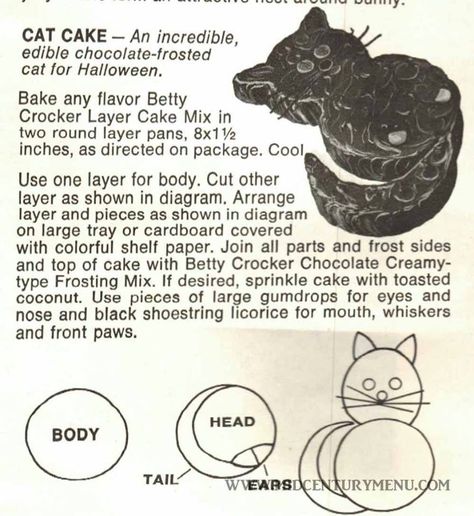 Black Cat Cake, Fudge Pudding, Cat Cakes, Betty Crocker Cake, Decorating For Beginners, Chocolate Cat, Pleasing Aesthetic, Cake Decorating For Beginners, Brownie Cupcakes