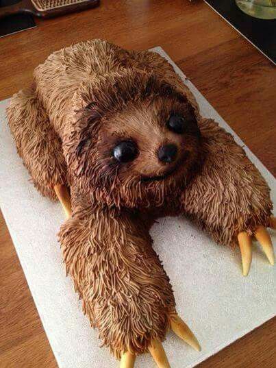 Sloth Cakes, Hedgehog Cake, Sloth Birthday, A Sloth, Slow And Steady, Animal Cakes, Animal Cake, Crazy Cakes, Occasion Cakes