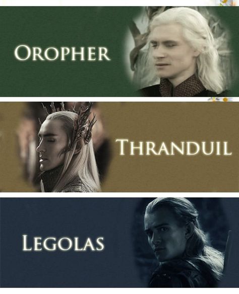 @@@ Oropher father of Thranduil, Thranduil father of Legolas Thranduil Funny, The Misty Mountains Cold, Gil Galad, Mirkwood Elves, Legolas Greenleaf, King Thranduil, Legolas And Thranduil, Woodland Realm, Thranduil And Legolas