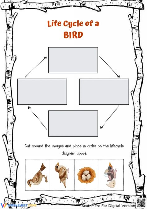 Help students explore the basic stages of a bird life cycle through this engaging worksheet. You can find and download any Bird Life Cycle worksheets for FREE at our website: http://worksheetzone.org/ Try it out! #science #scienceworksheets #birdlifecycle #livingthings  #animalslifecycle #lifecycle #stages #lifecycleofabird #birds #printables #worksheet #kidsactivities #paper&gluecrafts #cut&paste #birdcrafts #birdlifecycleforkids #paper #cards Life Cycle Of A Bird Free Printables, Bird Life Cycle Preschool, Life Cycle Of A Bird, Bird Worksheet, Bird Life Cycle, Life Cycles Preschool, Animal Life Cycles, Bird Free, Preschool Art Activities