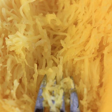 How to Store Spaghetti Squash Store Spaghetti Squash, Squash In Oven, Freezer Ideas, Vege Garden, Eating Light, Spaghetti Squash Recipes, Delicious Vegetables, Yellow Squash, Garden Recipes