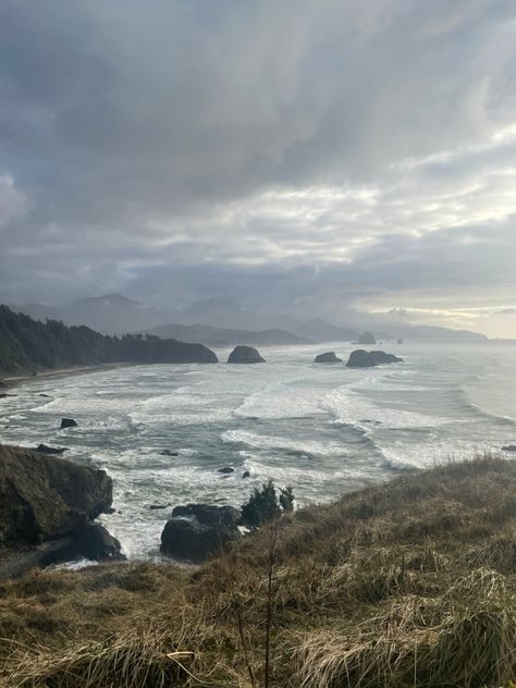 Island View Aesthetic, Ocean Cliffs Aesthetic, Misty Sea Aesthetic, Ocean Shore Aesthetic, Moody Pacific Northwest, Coastal Forest Aesthetic, Cloudy Ocean Aesthetic, Beach Cliff Aesthetic, Stuck On A Deserted Island Aesthetic