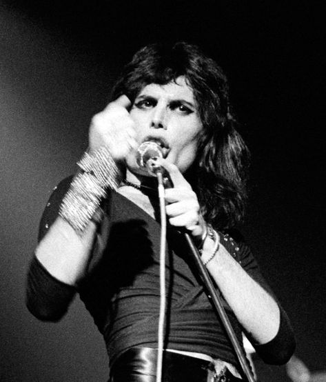 Freddie Mercury Pfp, 80s Rockstars, Freddie My Love, A Night At The Opera, Freddy Mercury, Queen Photos, Roger Taylor, Queen Pictures, Queen Freddie Mercury