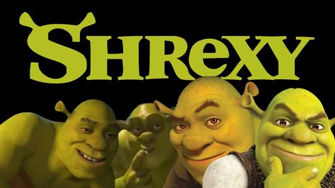 Shrek Memes, Taking A Picture, Weird Images, Funny Profile, Funny Profile Pictures, Funny Reaction Pictures, Shrek, Really Funny Pictures, Really Funny Memes