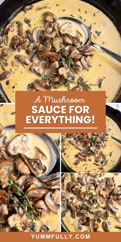 Having great sauce recipes is always a good idea. You can dress any protein or carb with a great sauce. In this recipe, you will learn how to make creamy mushroom sauce from scratch. Use it over steak, roasted chicken, pasta, or even mashed potatoes! Mushrooms Sauce, Mushroom Sauce Recipe, Homemade Sauce Recipes, Creamy Mushroom Sauce, Gravy Sauce, Mushroom Sauce, Homemade Sauce, Mushroom Recipes, Creamy Sauce