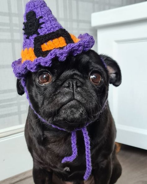 Homemade crochet hat.  Costume made to fit any breed.*Measurements required on ordering: A: ear to ear over head; B: ear to ear under chin*Each item is handmade and made to measure so please allow 2-3 weeks (during busy periods) for the item to be made. Sorry but I cannot accept returns unless the item is faulty as each is personalised to the pet and would be difficult for me to re-sell.  However if your products arrives and your not 100% happy with it please email me and I will see if it is som Crochet Dog Halloween Costume, Hat For Dogs Crochet, Crochet Pet Costumes, Halloween Crochet Hat, Crochet Pet Hat, Dog Witch Costume, Dog Hat Crochet, Dogs Crochet, Crochet Halloween Hat