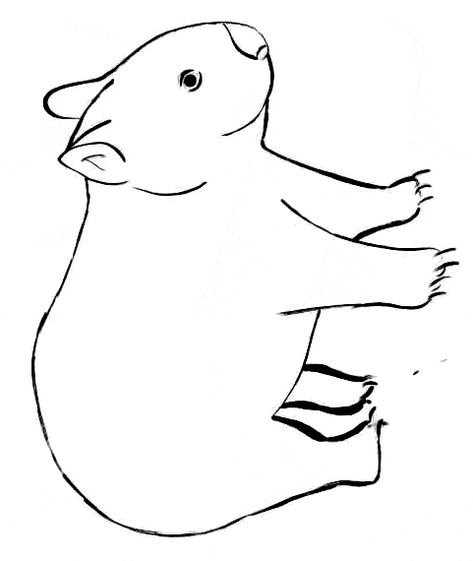 free Wombat coloring page Wombat Stew, Crafts Spring, Animal Outline, Calendar Art, Animal Templates, Australia Animals, Printable Animals, Lino Cut, Color Pictures