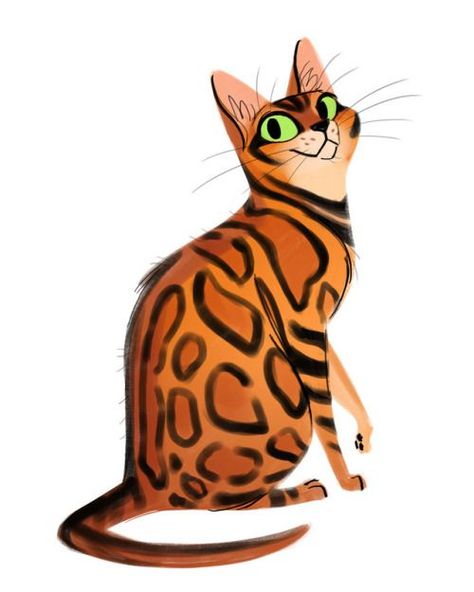 Good Images belgian Bengal Cats Popular First, when it concerns precisely what is really a Bengal cat. Bengal felines absolutely are a pedigree breed ... #belgian #Bengal #Cats Daily Cat Drawings, Charcoal Bengal, Cat Drawings, Cat Ideas, Cat Doodle, Drawing Faces, Super Cat, Cat Character, Cats Illustration