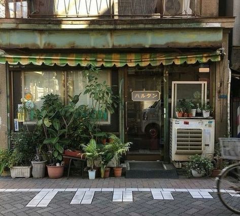 Shotting Photo, Japan Aesthetic, Aesthetic Japan, Store Front, City Aesthetic, Nature Aesthetic, Pretty Places, Green Aesthetic, Wasting Time