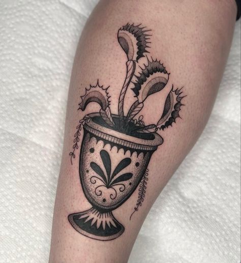 American Traditional Venus Fly Trap, Traditional Venus Fly Trap Tattoo, Pitcher Plant Tattoo, Fly Trap Tattoo, Venus Fly Trap Tattoo, Trap Tattoo, Tattoos 2024, Left Arm Tattoos, Flying Tattoo