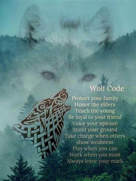 Wolf Code, Wolf Pack Quotes, Wolf Symbolism, Wolf Goddess, Lone Wolf Quotes, Coding Quotes, Native American Wolf, Native American Quotes, Magic Quotes