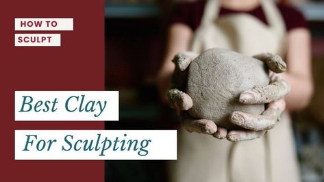 Discover the best clay for sculpting in this beginners guide. Compare air-dry, water-based, and oil-based clay to find the perfect fit for your creative journey. Explore their pros and cons, sculpting tips, and understand why professional artists lean towards specific clay types. Clay Types, Sculpting Tips, Small Sculptures, Modeling Clay, Sculpting Clay, Compare And Contrast, Simplest Form, Sculpture Clay, Clay Sculpture