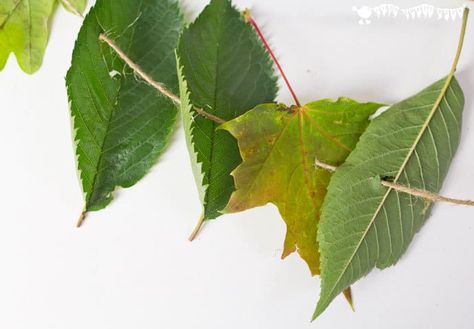 ALL NATURAL LEAF THREADING ACTIVITY for kids - engage with Nature, get creative and develop fine motor skills. Leaf Threading, Crafts Nature, Outdoor Learning Activities, Forest School Activities, Montessori Lessons, Waldorf Crafts, Fun Outdoor Activities, Mud Kitchen, Learn Crafts