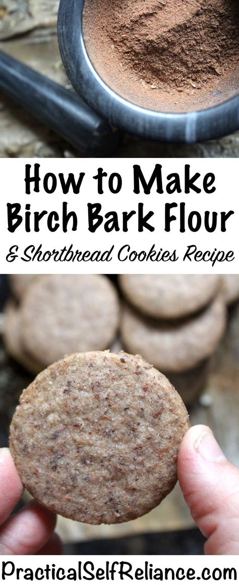 How to Make Birch Bark Flour & Shortbread Cookies Recipe ~ Wild Foraged Flour Shortbread Cookies Recipe, Wild Food Foraging, Foraging Recipes, Foraged Food, Shortbread Cookie Recipe, Textured Jacket, Wild Edibles, Survival Food, Jacket With Pockets