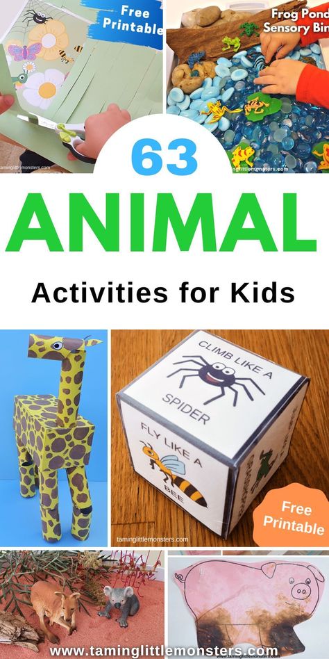 Animal Activities For Preschoolers, Mammals Activities, Play Ideas For Kids, Planets Activities, Animal Activities For Kids, Animal Lessons, Monkey Crafts, Summer Camp Activities, Fall Preschool Activities