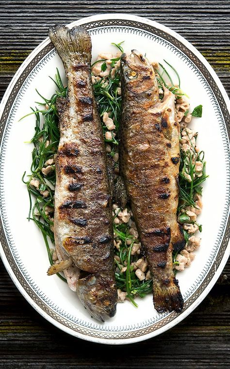 Trout Recipes Grilled, Bbq Trout, Whole Trout Recipes, Grilled Trout Recipes, Trout Recipe, Grilled Trout, Cooking Trout, Trout Recipes, Food Fish