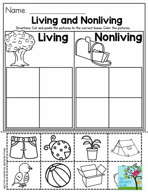 Preschool Living And Nonliving, Living And Nonliving Preschool, Living And No Living Things Activities, Living Vs Non Living Kindergarten, Living And Nonliving Things Activities, Living Or Non Living Activities, Living Vs Nonliving Preschool, Living Vs Nonliving Kindergarten, Living Things Activities Preschool