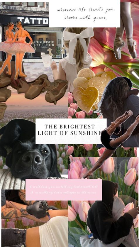 Book Name: The Brightest Light of Sunshine- Lisina Coney~ The Brightest Light Of Sunshine, Book Names, Bright Lights, Plants