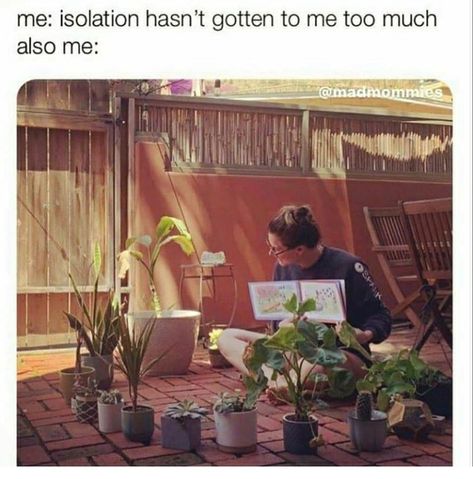 60 Plant Memes For You To Dig Through - Funny Gallery Plant Jokes, Gardening Memes, نباتات منزلية, Gardening Humor, Parenting Memes, Most Popular Memes, Plant Mom, Plant Lady, Plant Life