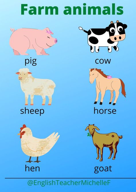 Farm Animals Preschool, Teacher Cartoon, Cow Horse, English Worksheets For Kids, Children Learning, Numbers Preschool, English Reading, Foreign Language, Learning English