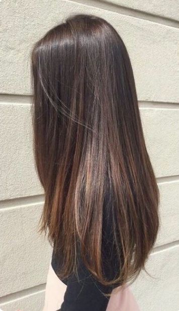 Balage Hair Brown Straight, Long Thick Brown Hair Straight, Natural Highlights Straight Hair, Beautiful Straight Hair, Long Straight Hair Balayage, Hair Color Ideas For Straight Hair, Highlights For Straight Hair, Hair Highlights Straight, Natural Haircolour