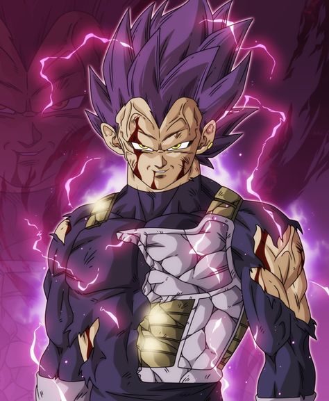 Ego Vegeta, Ultra Ego, God Of Destruction, The Dragon, Dragon Ball, Deviantart, Purple, Anime, On Instagram