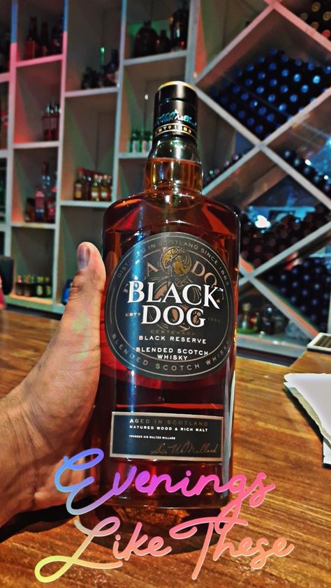 Snapchat stories backdog #blackdog Black Dog Whiskey Scotch, Blended Whisky, American Whiskey, Irish Whiskey, Snapchat Stories, Single Malt, Scotch Whisky, Black Dog, Rum