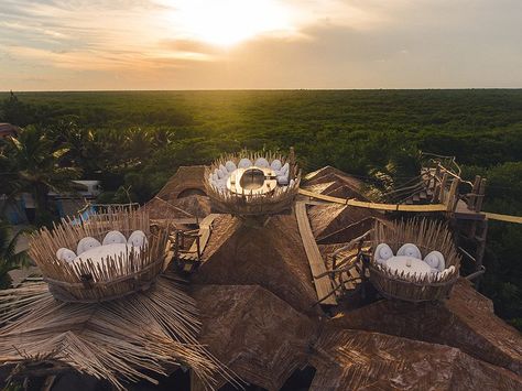 Azulik Tulum - Treehouse eco retreat in Tulum with bird’s nest restaurant Tulum Treehouse, Tulum Restaurants, Breakfast On The Beach, Azulik Tulum, Treehouse Hotel, Tulum Hotels, Eco Resort, Santa Cecilia, Tulum Beach