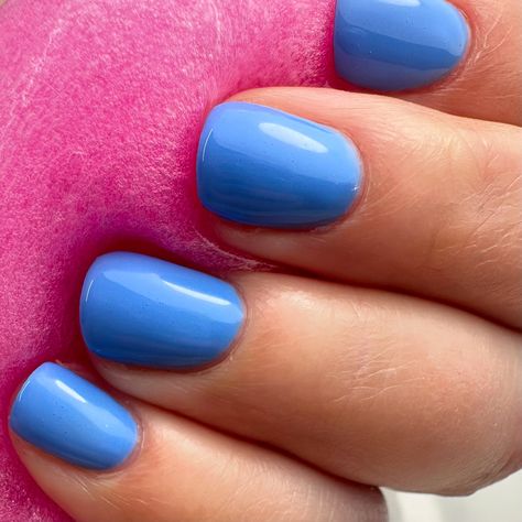 STUNNING! 😍 Cornflower Blue No. 101 🔹 Now Available at website harunailsshop.com, Write new color and we’ll send you the link to access all last new colors 🫰🏼. Cornflower Blue Nails, Cornflower Blue, Blue Nails, New Color, Nails, Blue, Quick Saves, Color