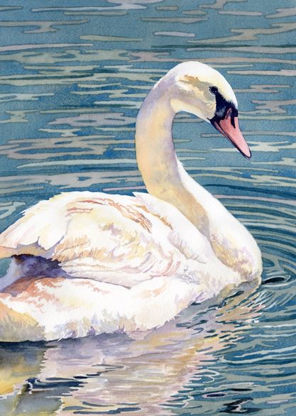 Colorado Watercolor Society - Lorraine Watry- 3 day ZOOM workshop “Painting Reflections in Water with Swan” March 25, 26, 27, 2021 Swan Drawing, Swan Painting, Swans Art, Reflection Painting, Blue Things, Watercolor Workshop, 수채화 그림, White Swan, Bird Pictures