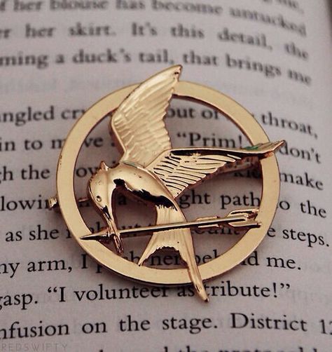 The Hunger Games, Mockingjay, The Hunger, Hunger Games, We Heart It, Lost, Gold