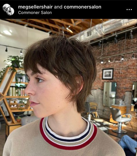 Grown Out Pixie Straight Hair, Soft Short Mullet Hairstyle Women, "mixie" Haircut Wavy, Pixie Mullet Round Face, Mixie Pixie Mullet Straight Hair, French Pixie Haircut Round Face, Bixie Cut Straight, Bixie Straight Hair, Growing Out Pixie Hairstyles