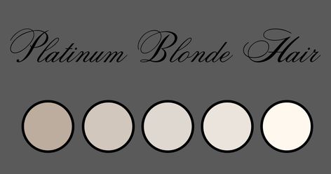 Platinum Blonde Color Palette, Platinum Color Palette, Platinum Hair Color, Silver White Hair, Platinum Blonde Hair Color, Silver Blonde Hair, White Hair Color, Colour Hair, Silver Blonde