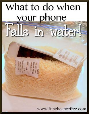 The Fun Cheap or Free Queen: What to do when you drop your phone or iPod in water...PLUS a custom iPhone case giveaway!! Seashell Letter, Homemade Cleaning Supplies, Iphone Info, Blue Text, Custom Iphone Cases, Iphone 5 Cases, Best Blogs, Ipod Cases, Oil Cloth