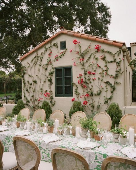 La Tavola Fine Linen on Instagram: “The perfect combination of our #edwardlinen in Green and climbing, fuchsia bougainvillea 🌿🌺🪴We could probably stare at this all day 💚…” Bougainvillea, Fine Linen, Event Decor, Tablescapes, Climbing, Table Settings, Table Decorations, Green, Furniture