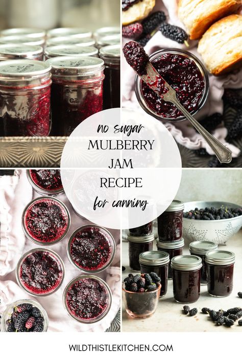 This easy, no sugar added, naturally sweetened homemade Mulberry Jam recipe is the perfect way to use up and preserve an abundant mulberry harvest. I use apple juice concentrate to sweeten and preserve the fruit without making it overly sweet or masking the flavor or color of the mulberries. A quick water bath and these jars will keep for up to a year in your pantry! #mulberryjam #mulberryjamrecipe #mulberryjamrecipelowsugar #mulberryjamrecipewithpectin #canningmulberryjamrecipe Mulberry Jam Recipe, Low Sugar Jam Recipes, Mulberry Jam, Mulberry Recipes, Low Sugar Jam, Cranberry Jam, Sourdough Bread Sandwiches, Sourdough Pancakes, Sourdough Sandwich